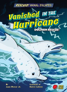 Vanished in the hurricane : dolphin rescue!