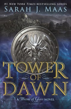 Catalog record for Tower of dawn