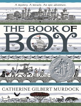 Catalog record for The book of Boy