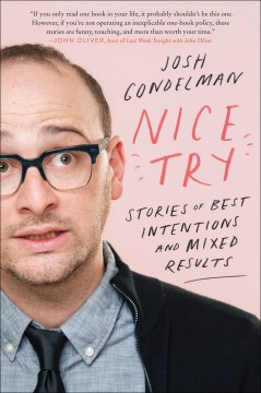 Catalog record for Nice try : stories of best intentions and mixed results