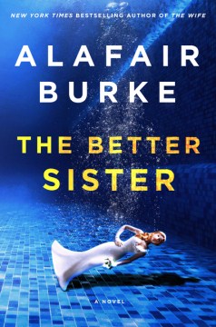 Catalog record for The better sister : a novel