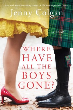 Where have all the boys gone? : a novel book cover