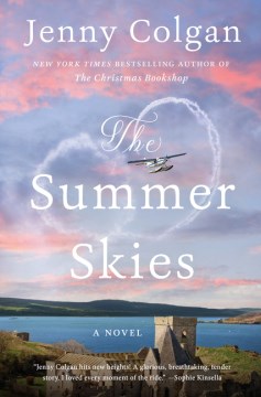 Catalog record for The summer skies : a novel