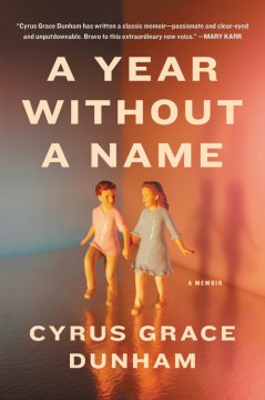 A year without a name book cover
