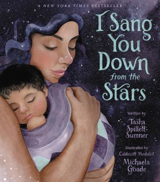 I sang you down from the stars book cover