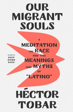 Our migrant souls : a meditation on race and the meanings and myths of "Latino" book cover