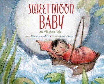 Sweet moon baby : an adoption tale