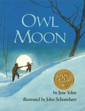 Catalog record for Owl moon