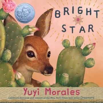 Bright star book cover