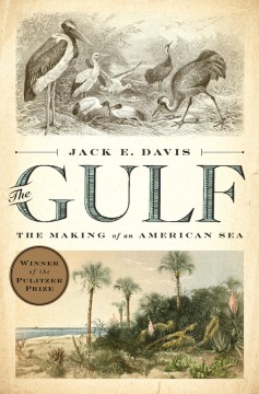 The Gulf : the making of an American sea book cover