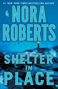 Shelter in Place. book cover