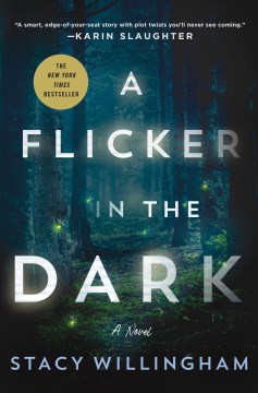 A flicker in the dark book cover