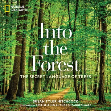 Into the forest : the secret language of trees book cover