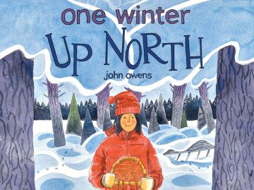 One winter up north book cover