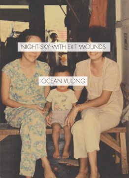 Catalog record for Night sky with exit wounds