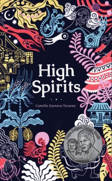 High spirits : short stories on Dominican diaspora book cover