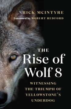 Rise of wolf 8 : witnessing the triumph of Yellowstone's underdog book cover
