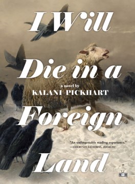 Catalog record for I will die in a foreign land : a novel