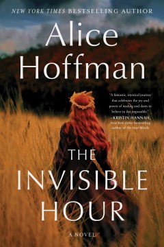 The invisible hour : a novel book cover