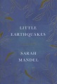 Little earthquakes : a memoir Book Cover