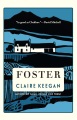 Foster Book Cover