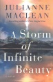 A storm of infinite beauty : a novel Book Cover