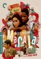 Mississippi masala [DVD videorecording] Book Cover