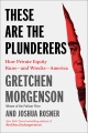 These are the plunderers : how private equity runs -- and wrecks -- America Book Cover