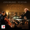 Cover for A Gathering of Friends  