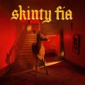 Cover for Skinty fia 
