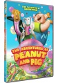 Cover for The Adventures of Peanut and Pig