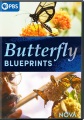 Cover for Butterfly blueprints 