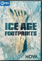 Cover for Ice Age Footprints