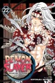 Cover for Demon slayer = Kimetsu no yaiba. Volume 22, The wheel of fate