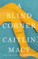 Cover for A Blind Corner
