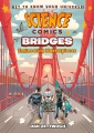 Cover for Bridges: Engineering Masterpieces