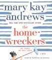 Cover for The home-wreckers: a novel