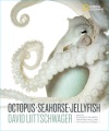 Cover for Octopus, seahorse, jellyfish