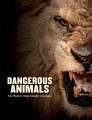 Cover for Dangerous Animals: The World's Most Deadly Creatures