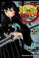 Cover for Demon slayer = Kimetsu no yaiba. Volume 12, The upper ranks gather