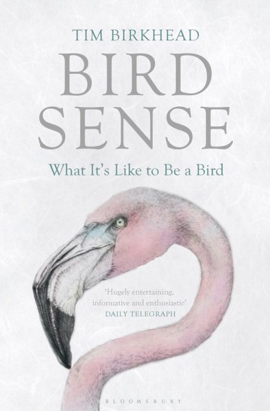 Cover of Bird Sense: What It's Like to be a Bird