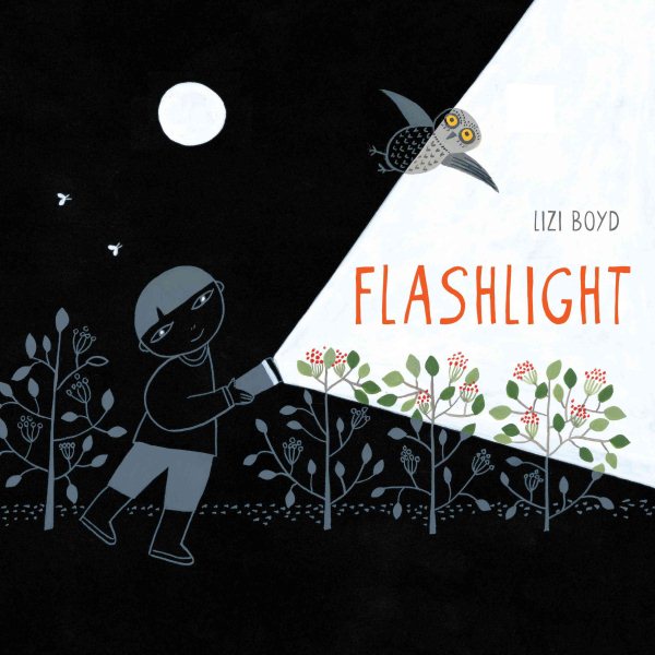 Cover of Flashlight