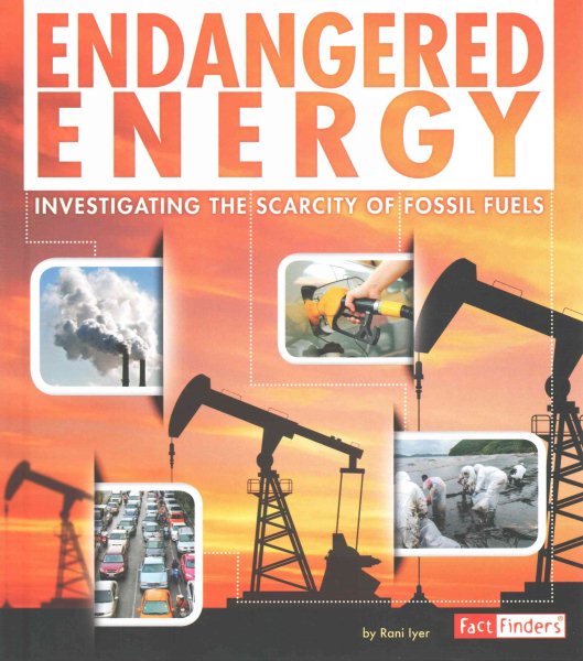 Cover of Endangered Energy: Investigating the Scarcity of Fossil Fuels