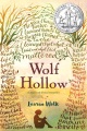 Wolf Hollow by Lauren Wolk