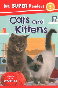 Cats and Kittens by Jenner, Caryn
