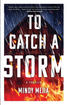 To Catch A Storm by Mindy Mejia