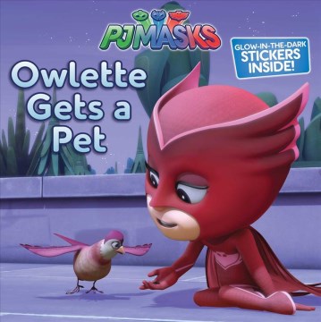 Owlette Gets A Pet by Testa, Maggie