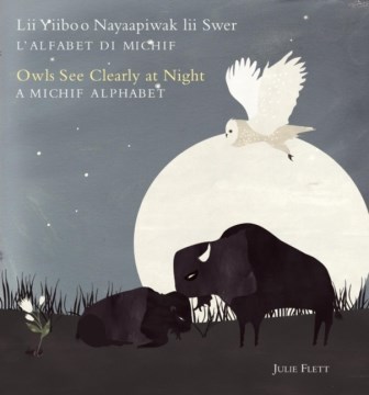 Owls See Clearly At Night / Lii Yiiboo Nayaapiwak Lii Swer by Flett, Julie
