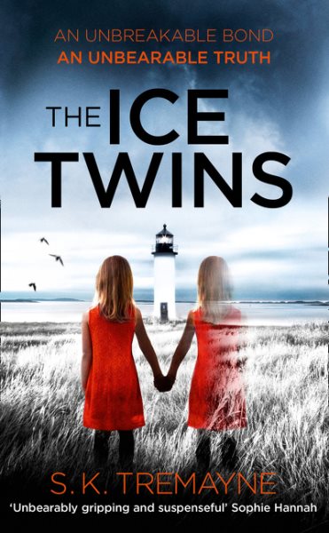 Cover: 'The Ice Twins'
