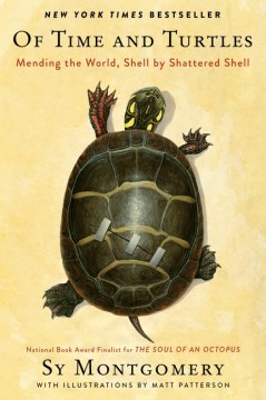 Book Cover for Of time and turtles :